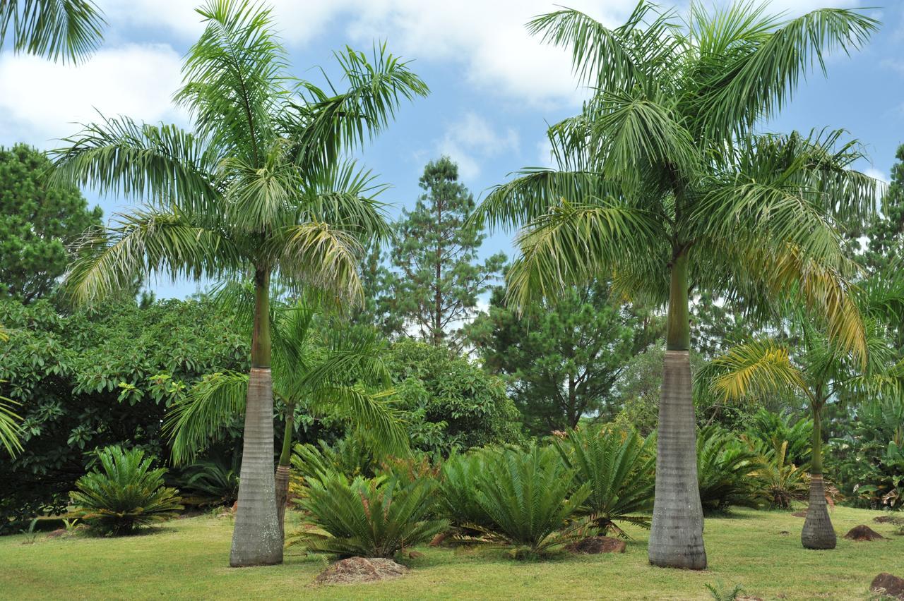 Summerfield Botanical Garden & Exclusive Resort Matsapha المظهر الخارجي الصورة